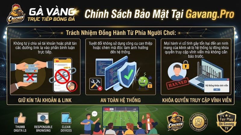 Khán giả chung tay xây dựng cộng đồng xem bóng đá văn minh tại Gavang