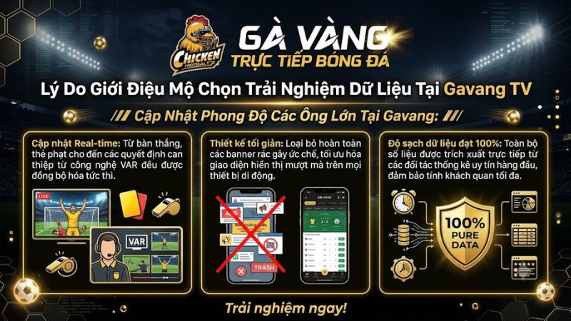 Trải nghiệm tra cứu dữ liệu bóng đá mượt mà, không quảng cáo trên nền tảng Gavang TV.